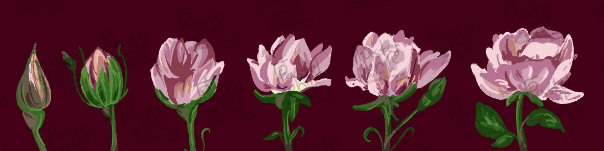 Flower Washi Tape Design